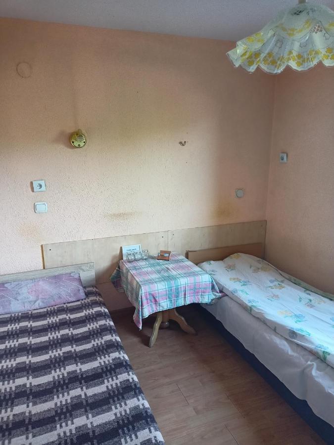 Pokoje Mira Torzym Dış mekan fotoğraf